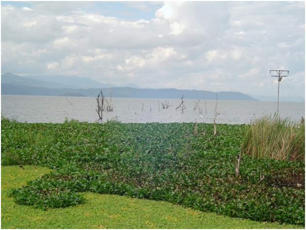 lago en aguacatal II